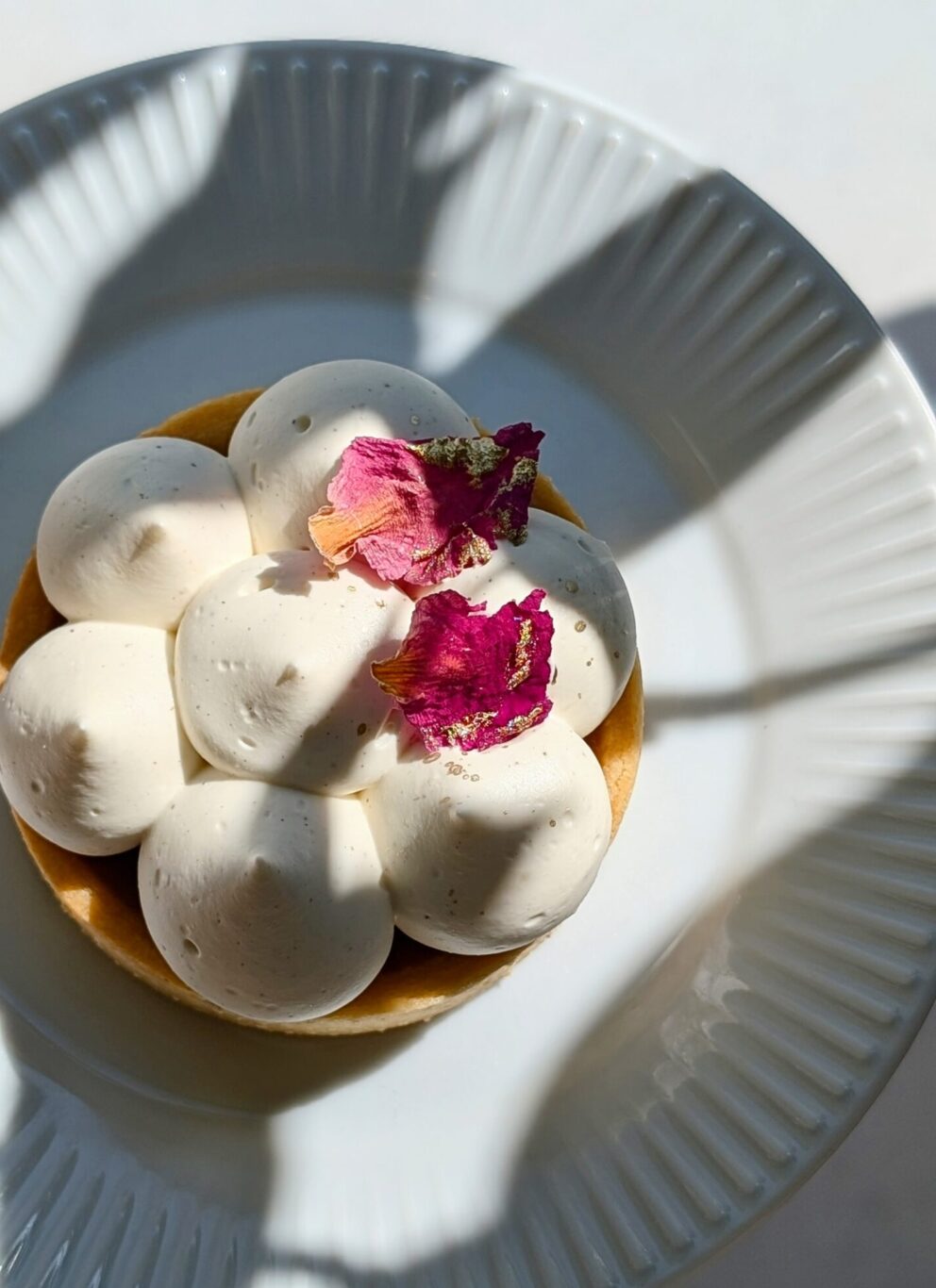 Mini tarta morelowa