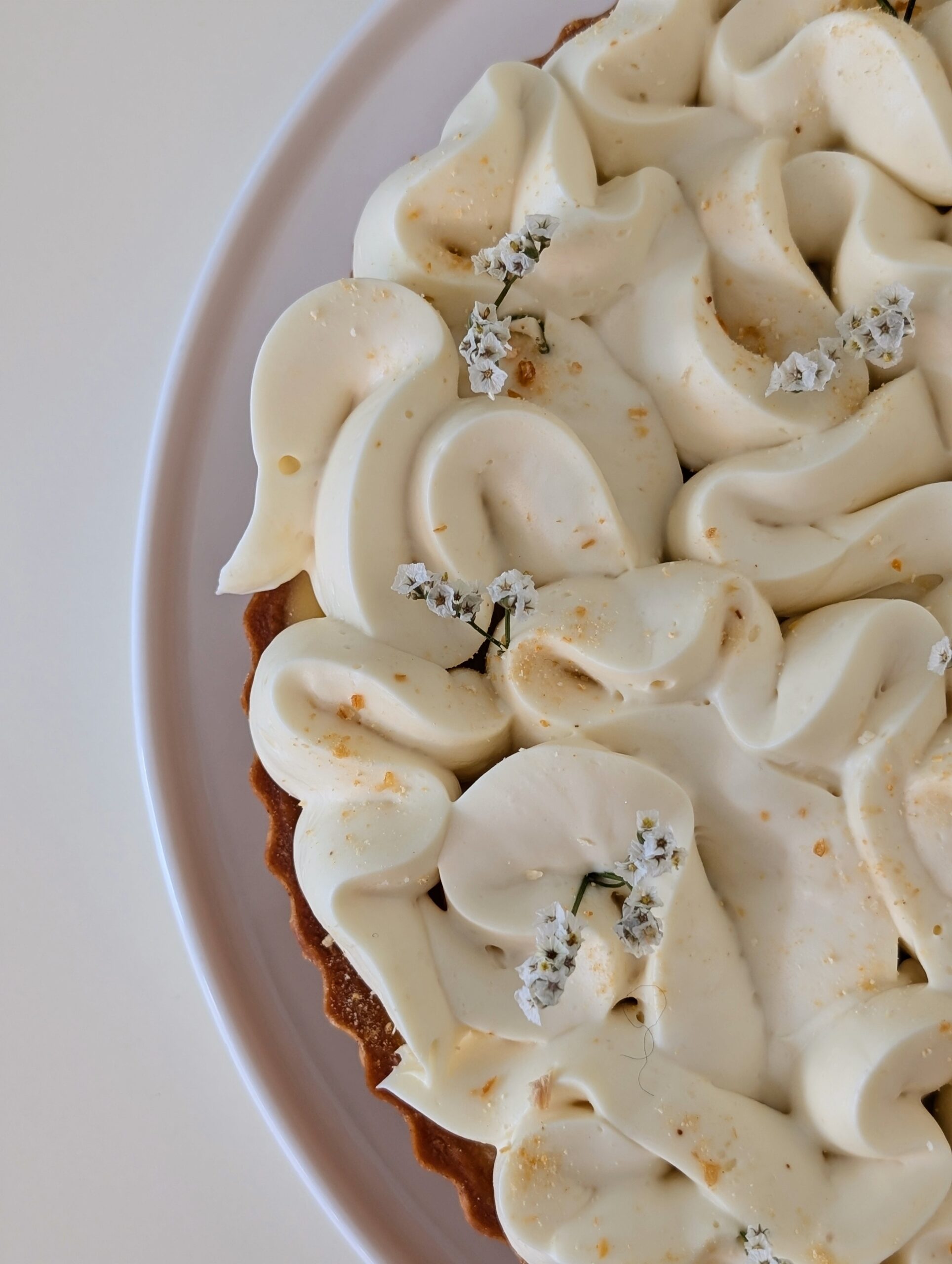 Tarta ricotta z czarnym bzem - obrazek 4